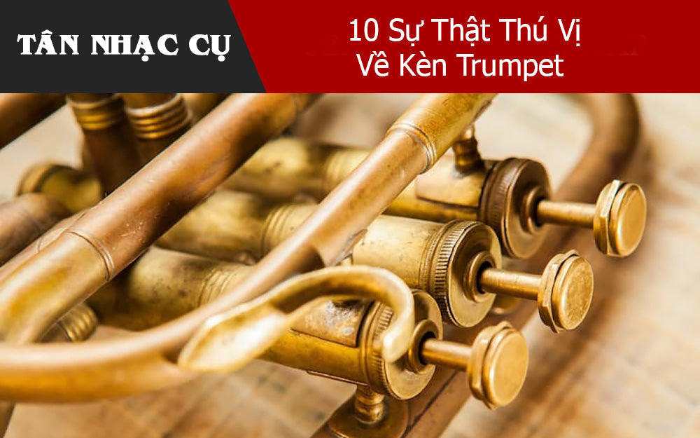 10 Sự Thật Thú Vị Về Kèn Trumpet 