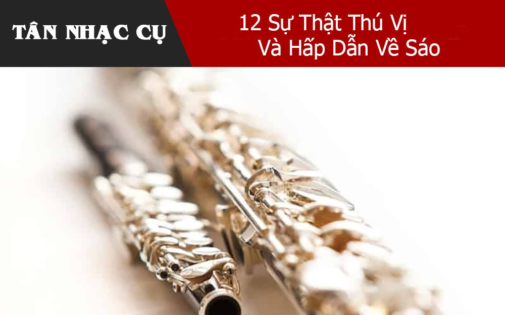 12 Sự Thật Thú Vị Và Hấp Dẫn Về Sáo Mà Bạn Có Thể Chưa Biết