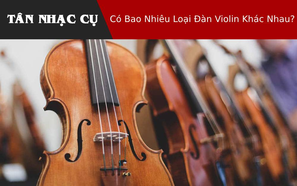 Có Bao Nhiêu Loại Đàn Violin Khác Nhau?