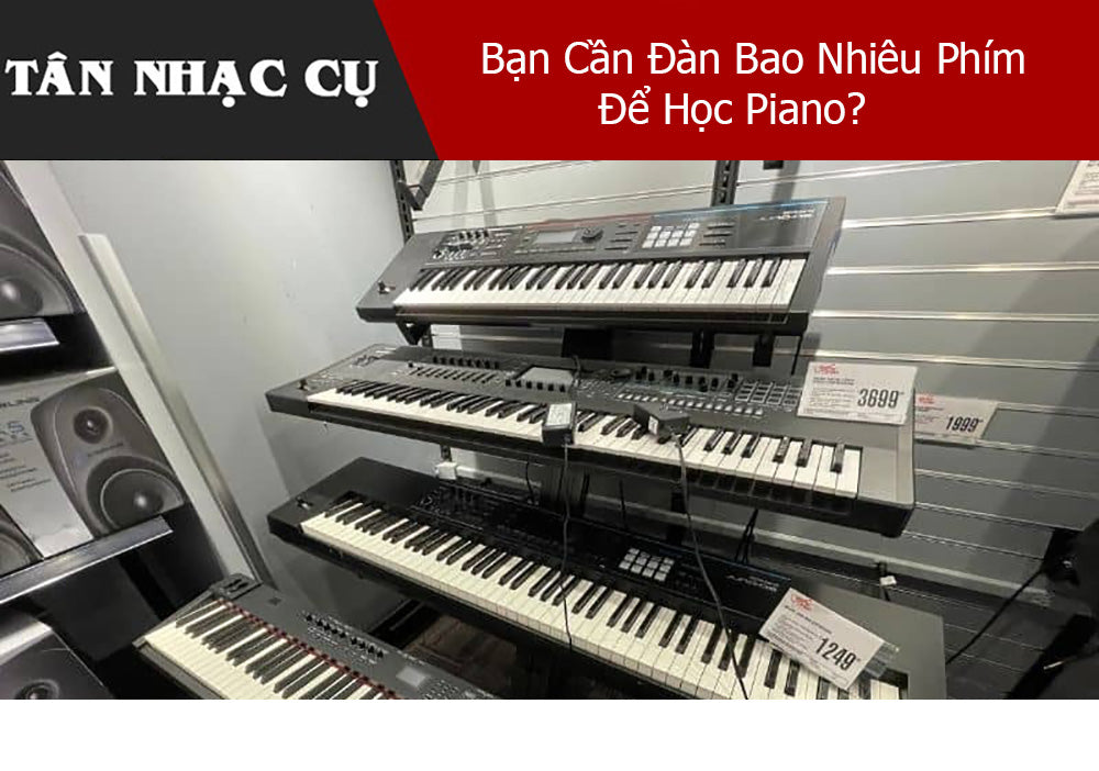 Bạn Cần Đàn Bao Nhiêu Phím Để Học Piano 