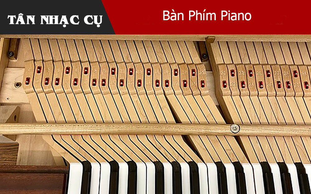 Tìm Hiểu Về Kích Thước Của Bàn Phím Piano
