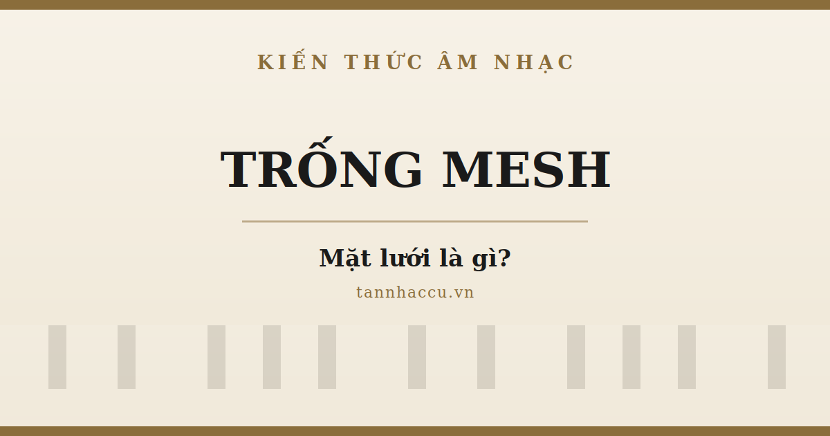 Trống Mesh (Mặt Lưới) Là Gì? 
