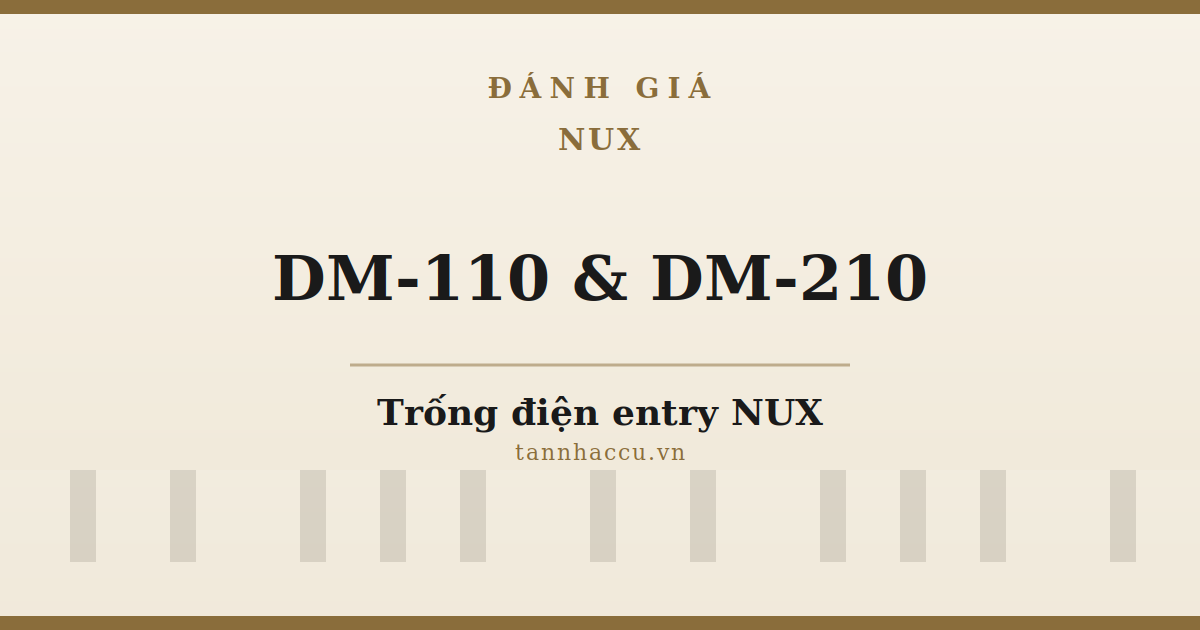 Đánh Giá NUX DM-110 & DM-210
