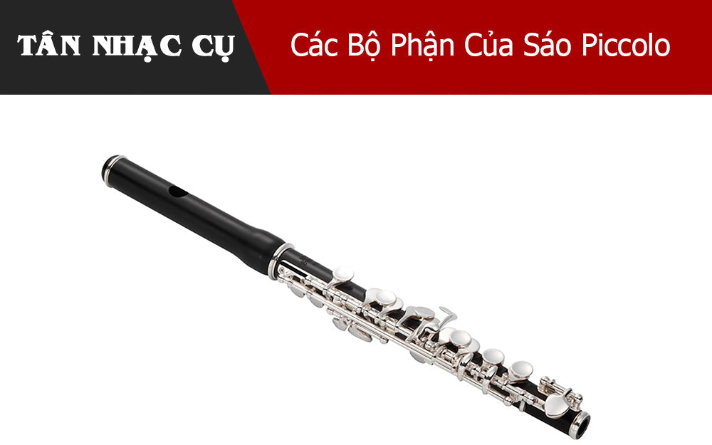 Các Bộ Phận Của Sáo Piccolo 