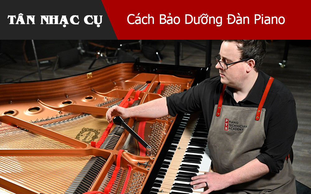 Cách Bảo Dưỡng Đàn Piano Trong Các Cơ Sở Giáo Dục Và Tôn Giáo