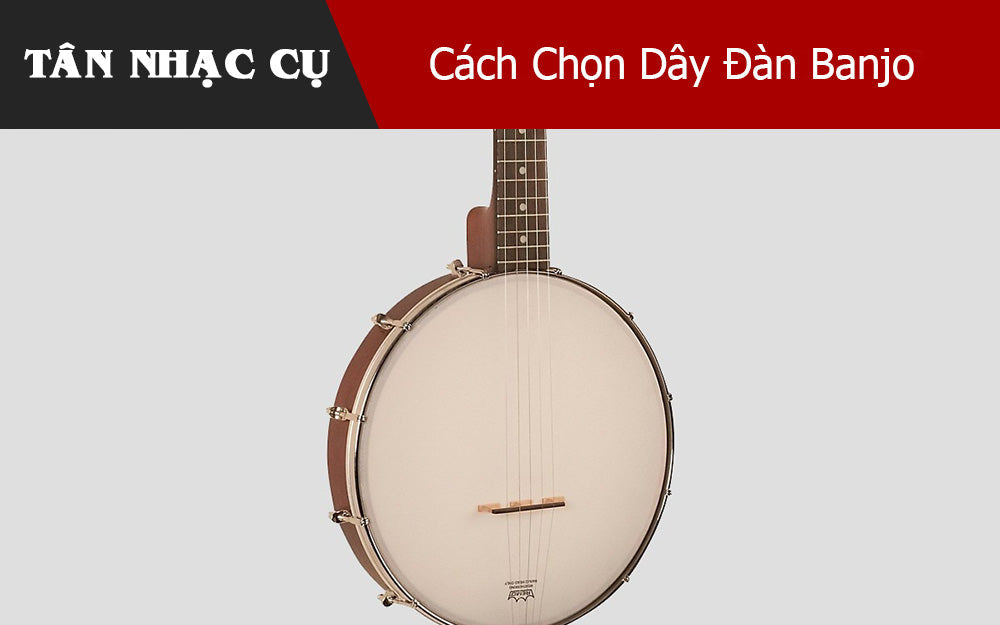 Cách Chọn Dây Đàn Banjo Phù Hợp