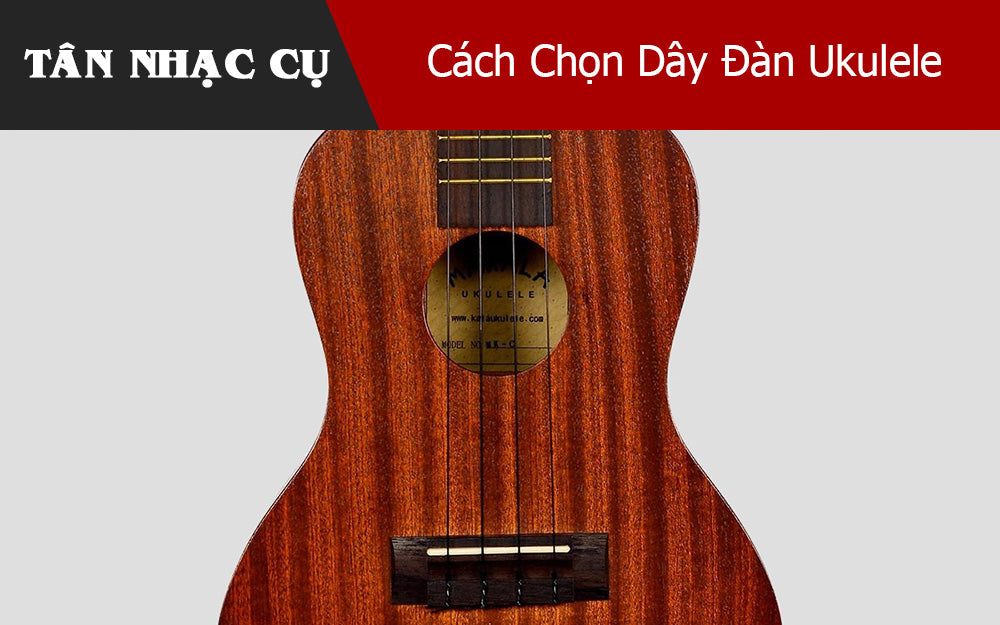 Cách Chọn Dây Đàn Ukulele Phù Hợp