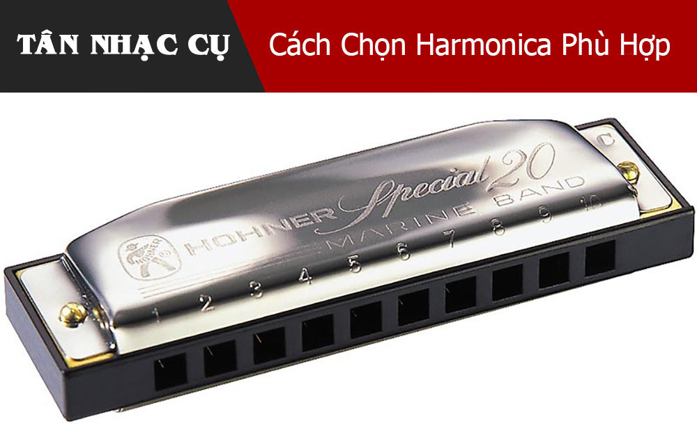 Cách Chọn Harmonica Phù Hợp