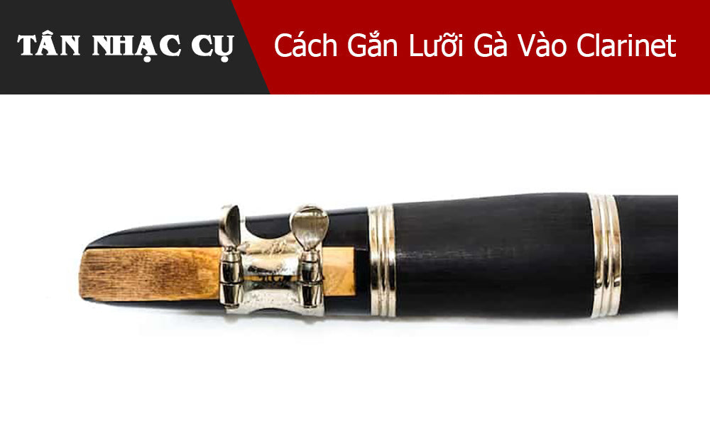 Cách Gắn Lưỡi Gà Vào Clarinet
