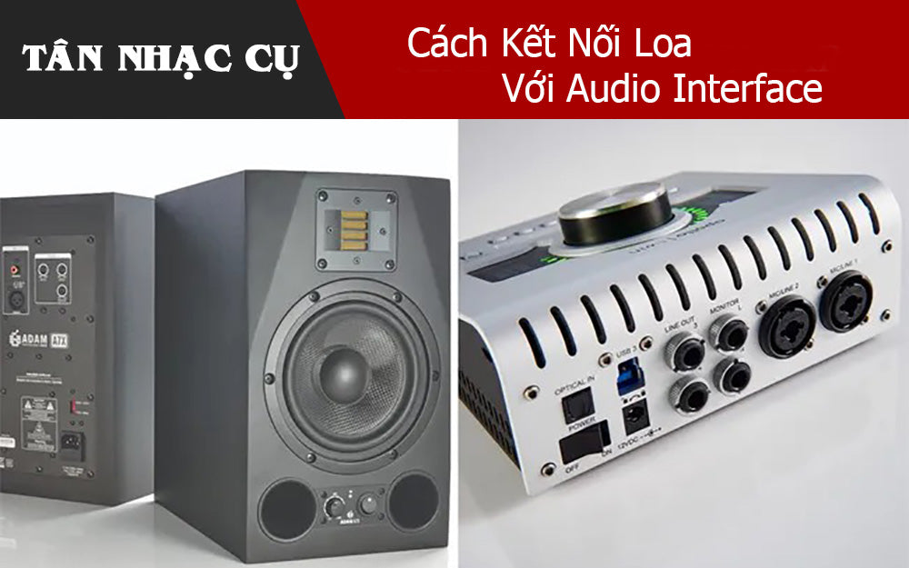 Cách Kết Nối Loa Với Audio Interface