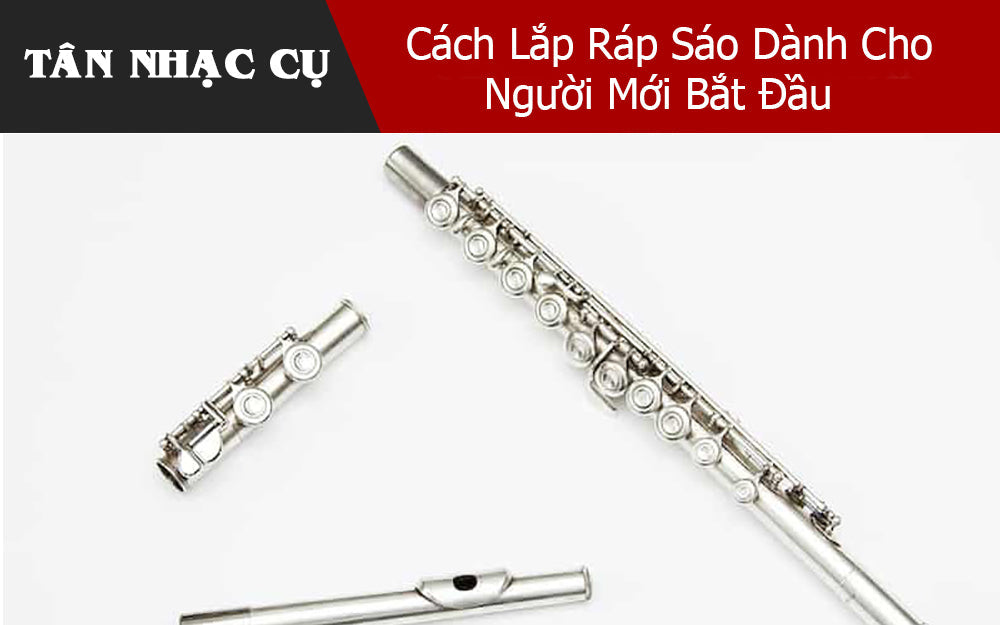 Cách Lắp Ráp Sáo Dành Cho Người Mới Bắt Đầu