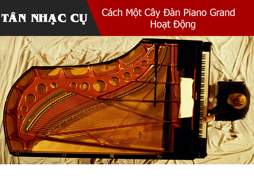 Cách Một Cây Đàn Piano Grand Hoạt Động