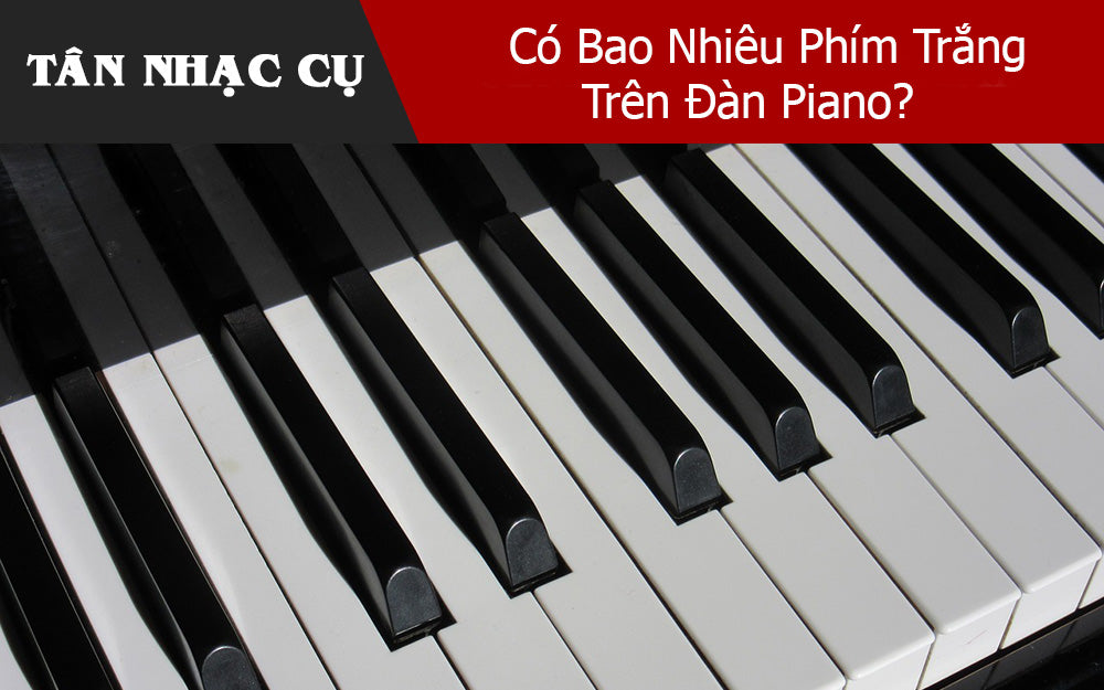 Có Bao Nhiêu Phím Trắng Trên Đàn Piano?