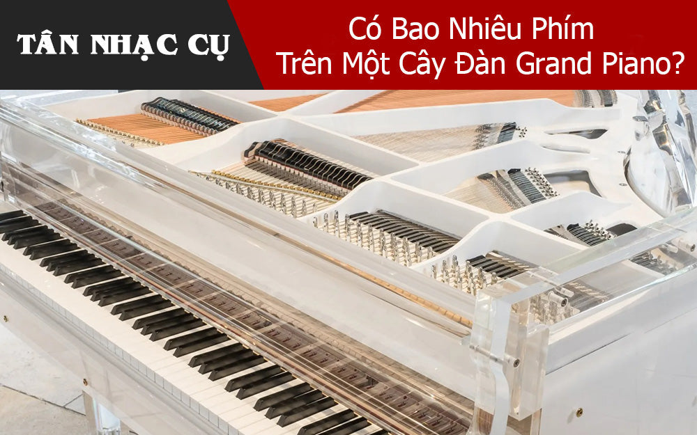 Có Bao Nhiêu Phím Trên Một Cây Đàn Grand Piano?