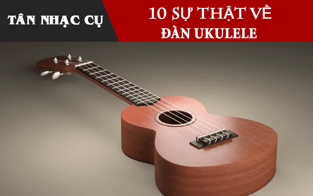 10 Sự Thật Bạn Nên Biết Về Đàn Ukulele