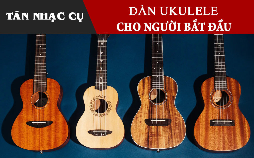 Kinh Nghiệm Mua Đàn Ukulele Cho Người Bắt Đầu