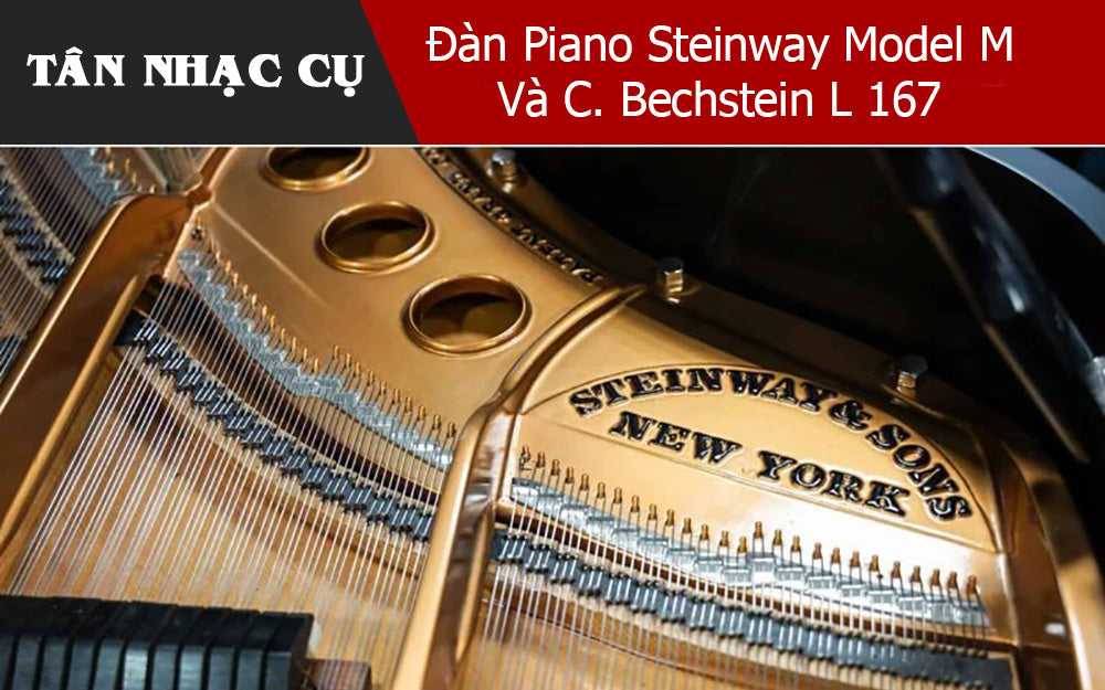 So Sánh Đàn Baby Grand Piano Steinway Model M Và C. Bechstein L 167