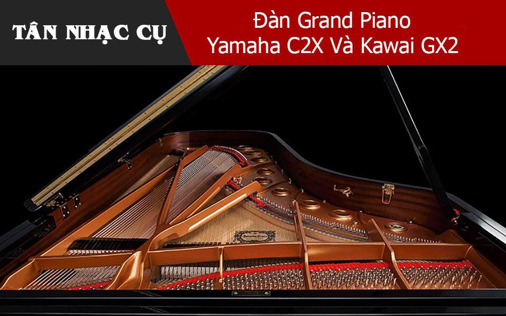 Đánh Giá Và So Sánh Đàn Grand Piano Yamaha C2X Và Kawai GX2