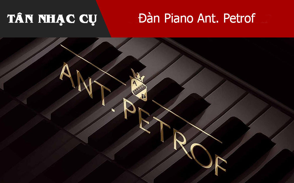 Đàn Piano Ant. Petrof: Góc Nhìn Của Một Nghệ Sĩ Piano Chuyên Nghiệp