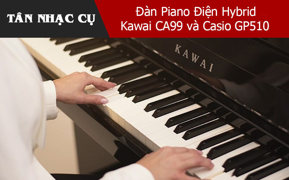 So Sánh Đàn Piano Điện Hybrid Kawai CA99 và Casio GP510
