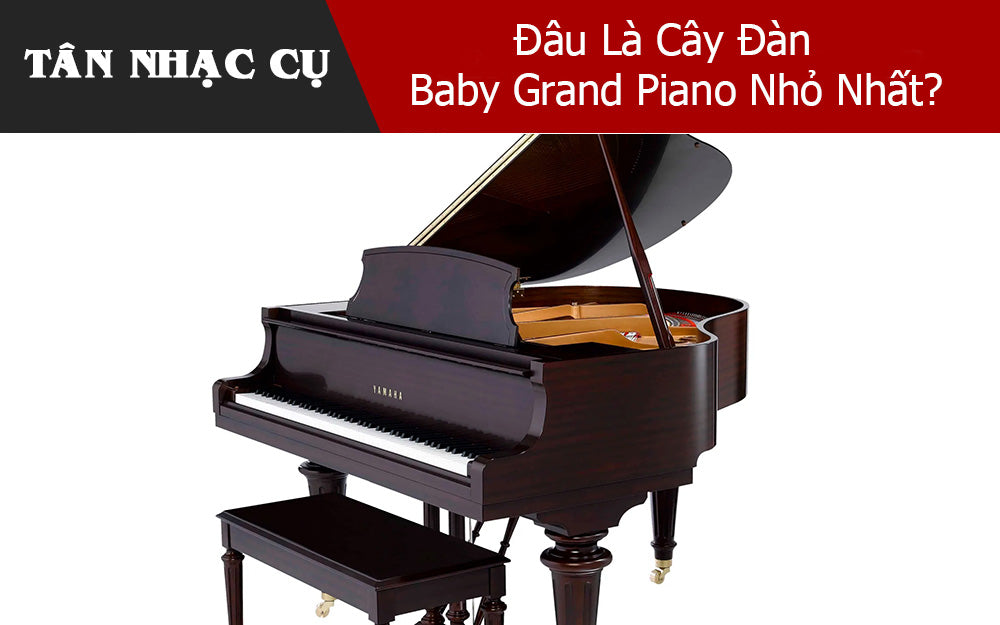 Đâu Là Cây Đàn Baby Grand Piano Nhỏ Nhất?
