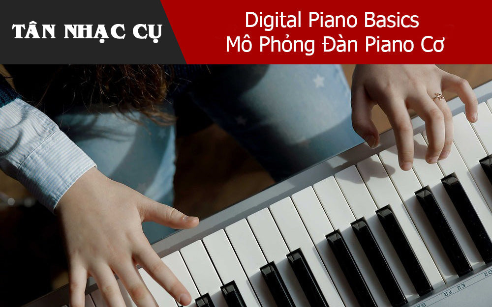 Digital Piano Basics: Mô Phỏng Đàn Piano Cơ
