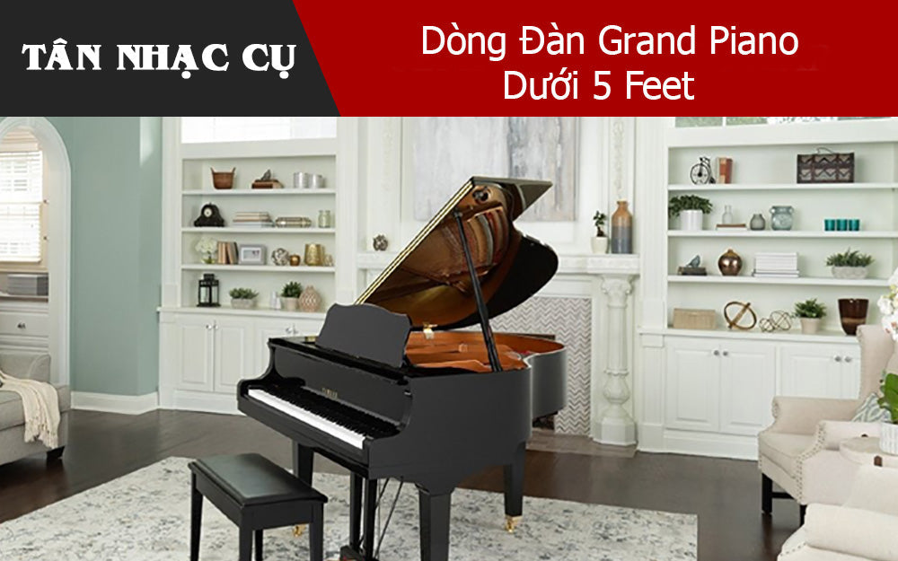 Những Thay ĐổiTrong Dòng Đàn Grand Piano Dưới 5 Feet