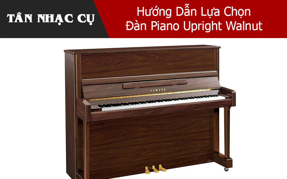 Hướng Dẫn Lựa Chọn Đàn Piano Upright Walnut