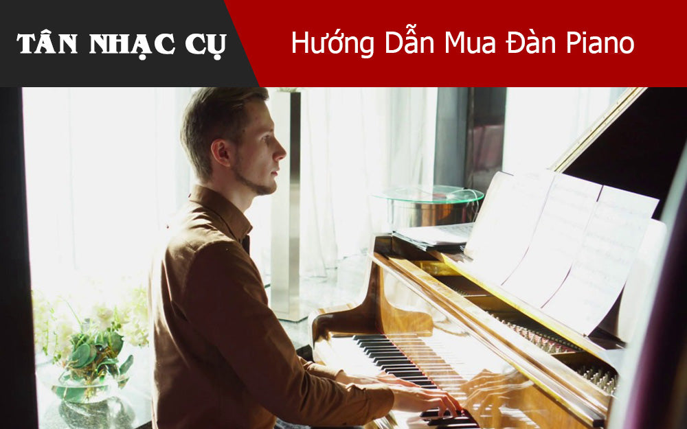 Hướng Dẫn Mua Đàn Piano Cho Trường Học, Nhà Thờ