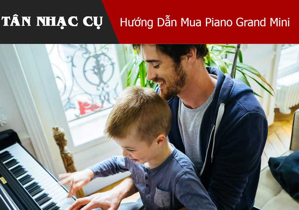 Hướng Dẫn Mua Piano Grand Mini