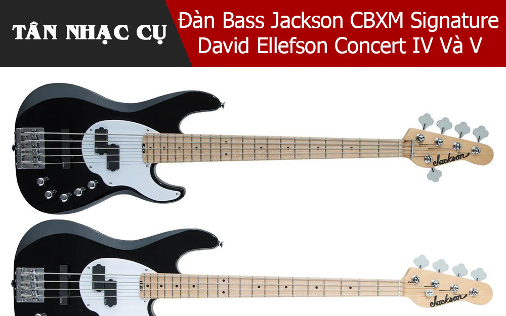 Jackson CBXM X-Series Signature David Ellefson Concert IV