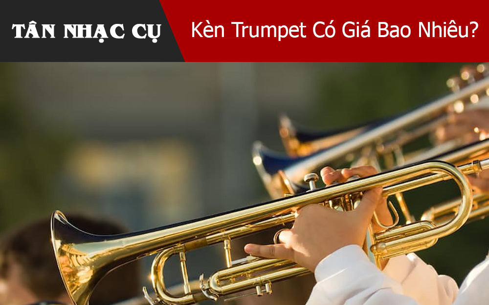 Kèn Trumpet Có Giá Bao Nhiêu?