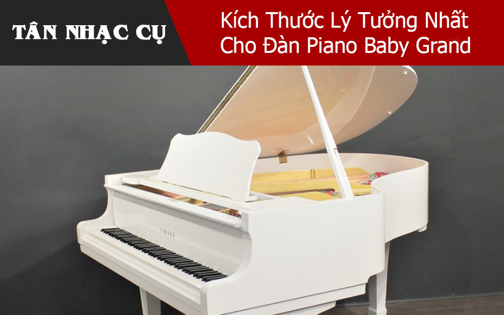Kích Thước Lý Tưởng Nhất Cho Đàn Piano Baby Grand