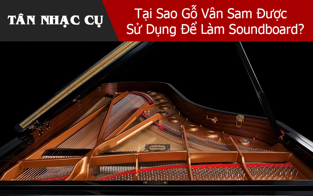 Tại Sao Gỗ Vân Sam Được Sử Dụng Để Chế Tác Soundboard?