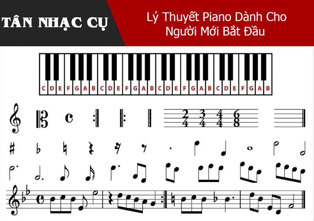 Lý Thuyết Piano Dành Cho Người Mới Bắt Đầu