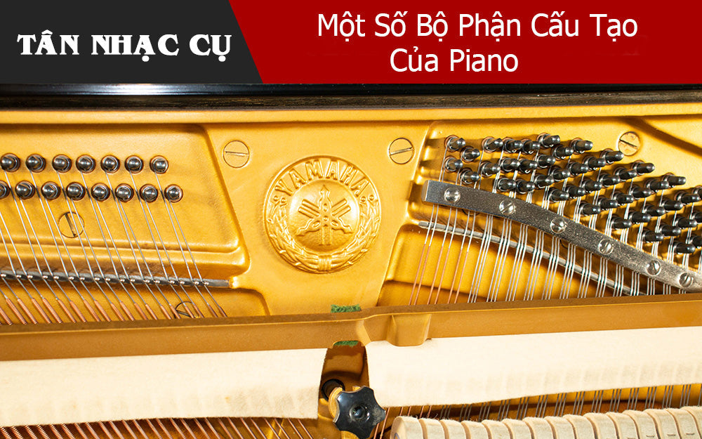 Một Số Bộ Phận Cấu Tạo Của Piano