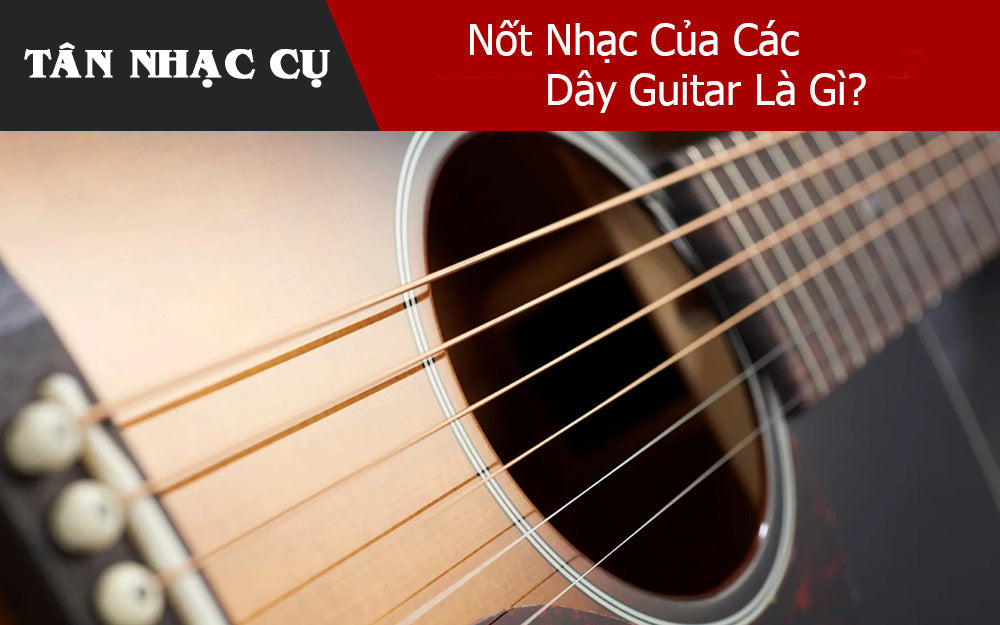 Nốt Nhạc Của Các Dây Guitar Là Gì?