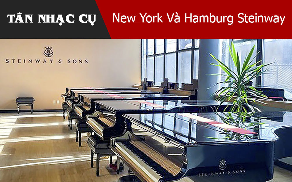 New York Và Hamburg Steinway: Khi Hai Dòng Huyết Mạch Hòa Làm Một