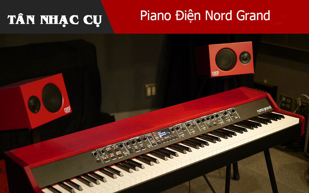 Nord Grand: Piano Điện Đẳng Cấp Từ Thụy Điển