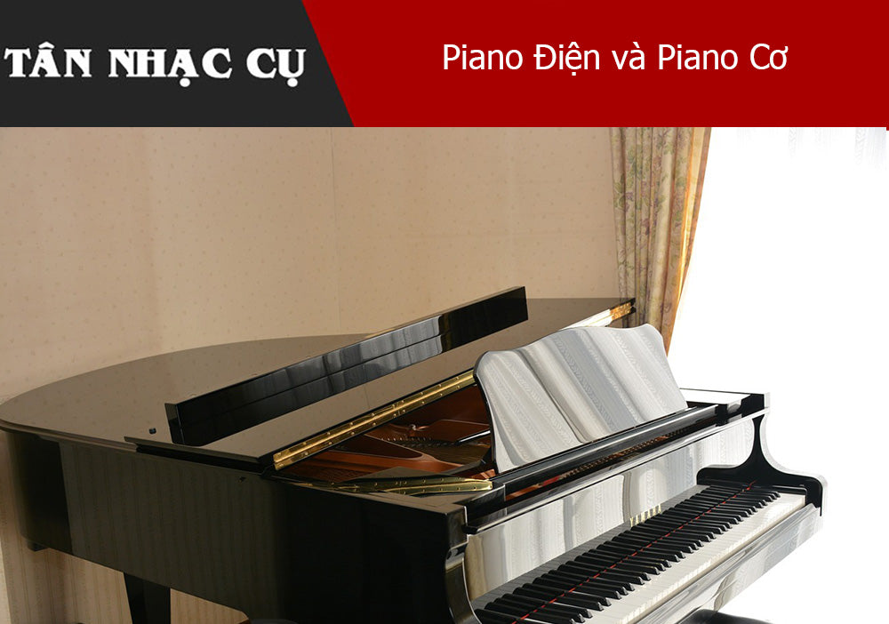 Piano Điện và Piano Cơ