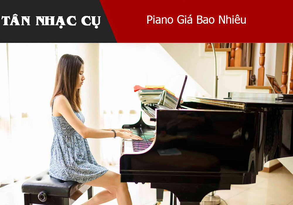 Piano Giá Bao Nhiêu