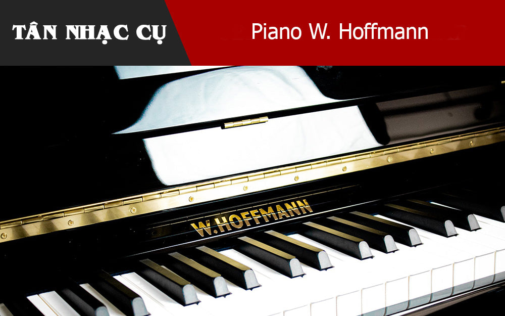 Đàn Piano W. Hoffmann: Lựa Chọn Hấp Dẫn Trong Phân Khúc Tầm Trung
