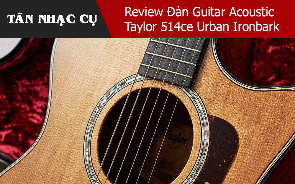 Review Đàn Guitar Acoustic  Taylor 514ce Urban Ironbark