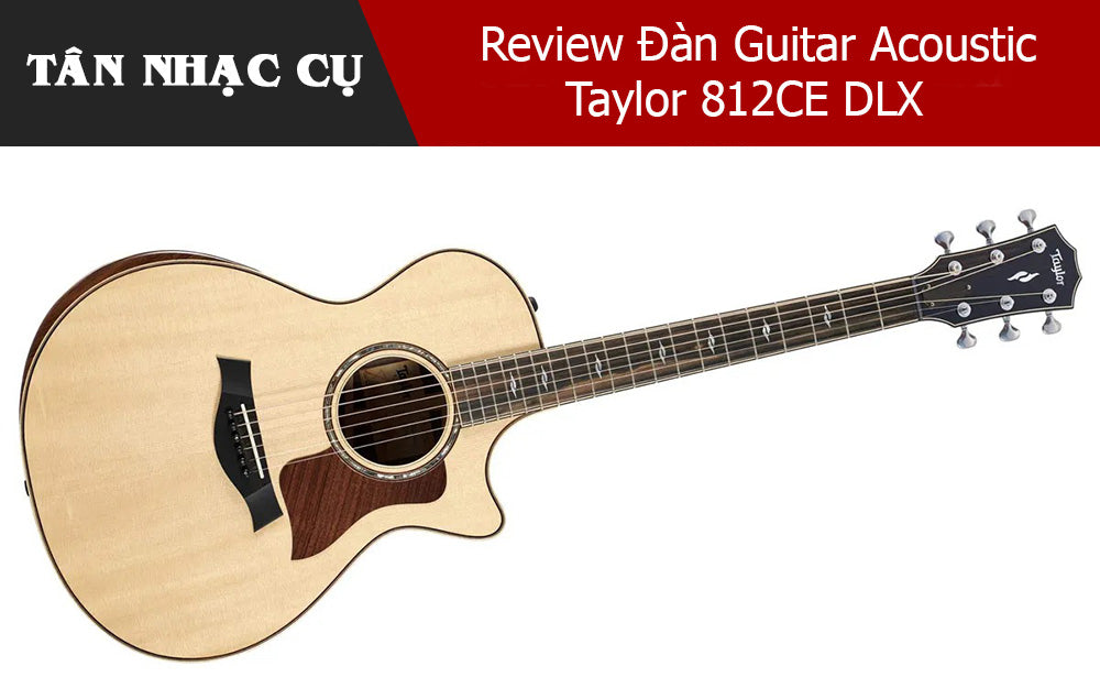 Review Đàn Guitar Acoustic Taylor 812CE DLX