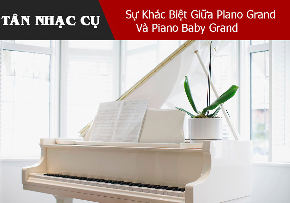 Sự Khác Biệt Giữa Piano Grand Và Piano Baby Grand