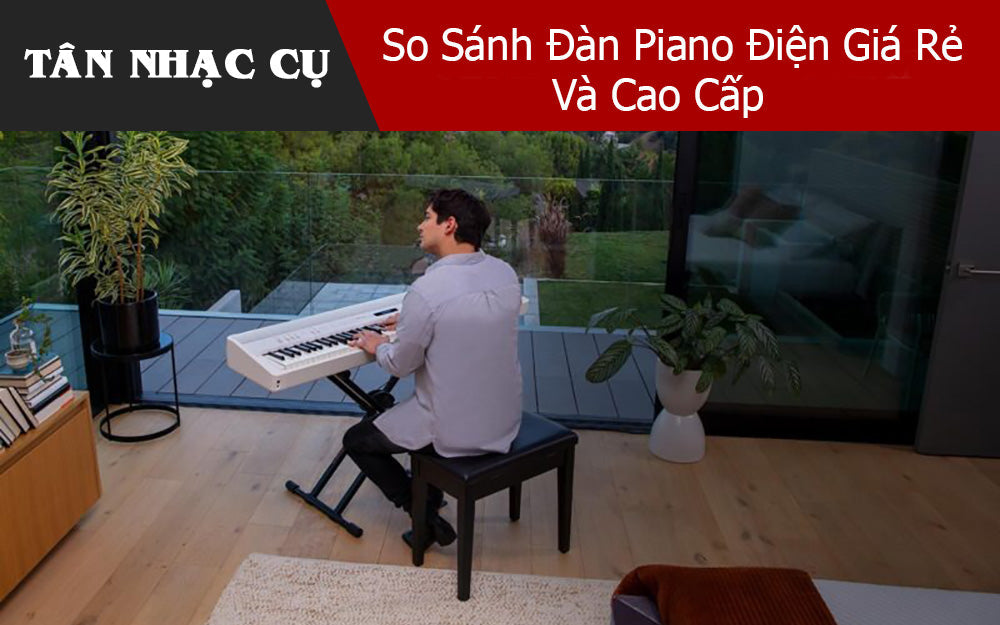 So Sánh Đàn Piano Điện Giá Rẻ Và Cao Cấp
