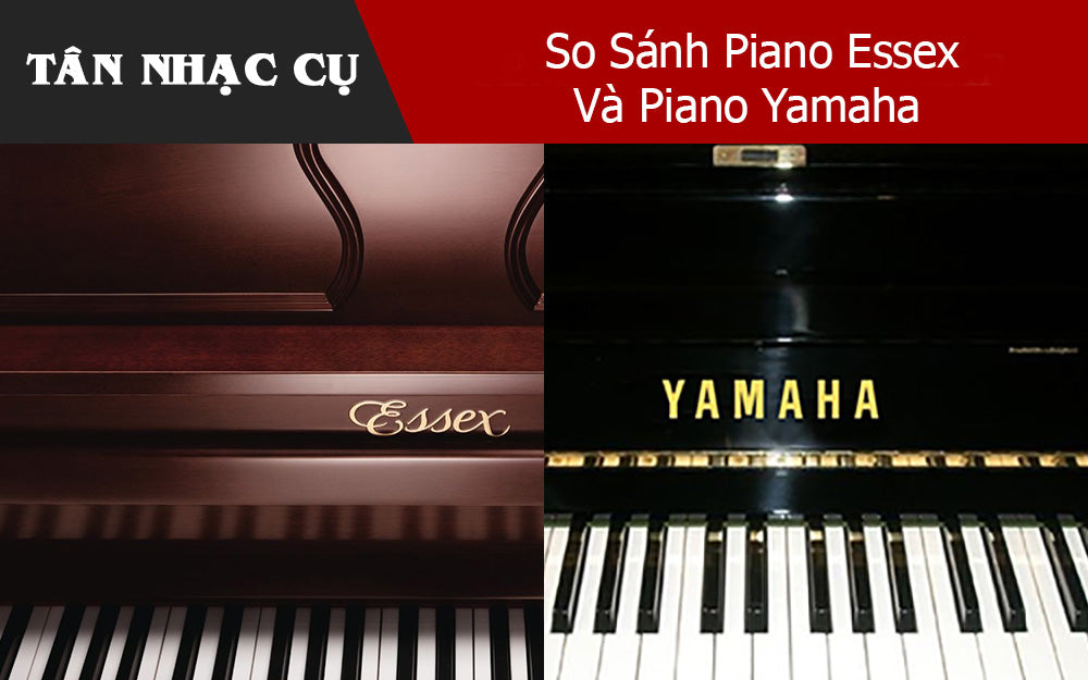 So Sánh Piano Essex Và Piano Yamaha 