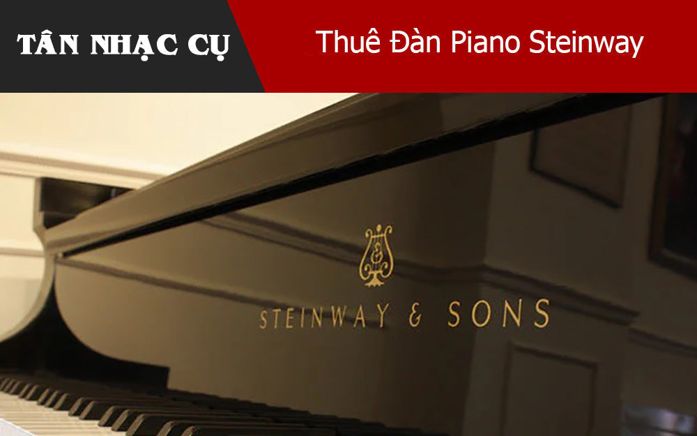 Tất Cả Những Điều Bạn Cần Biết Khi Thuê Đàn Piano Steinway