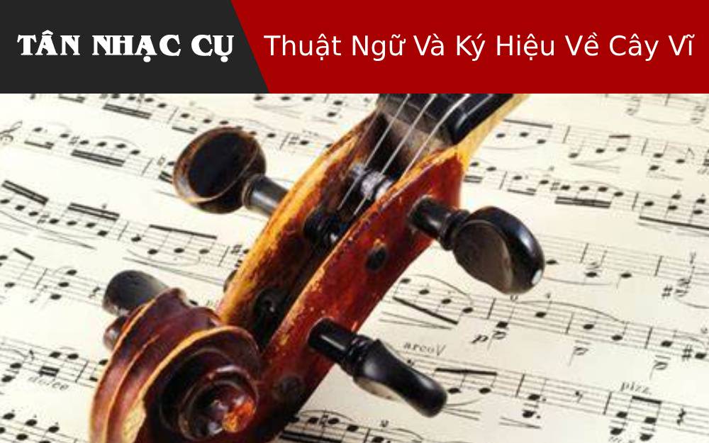 Thuật Ngữ Và Ký Hiệu Về Cây Vĩ