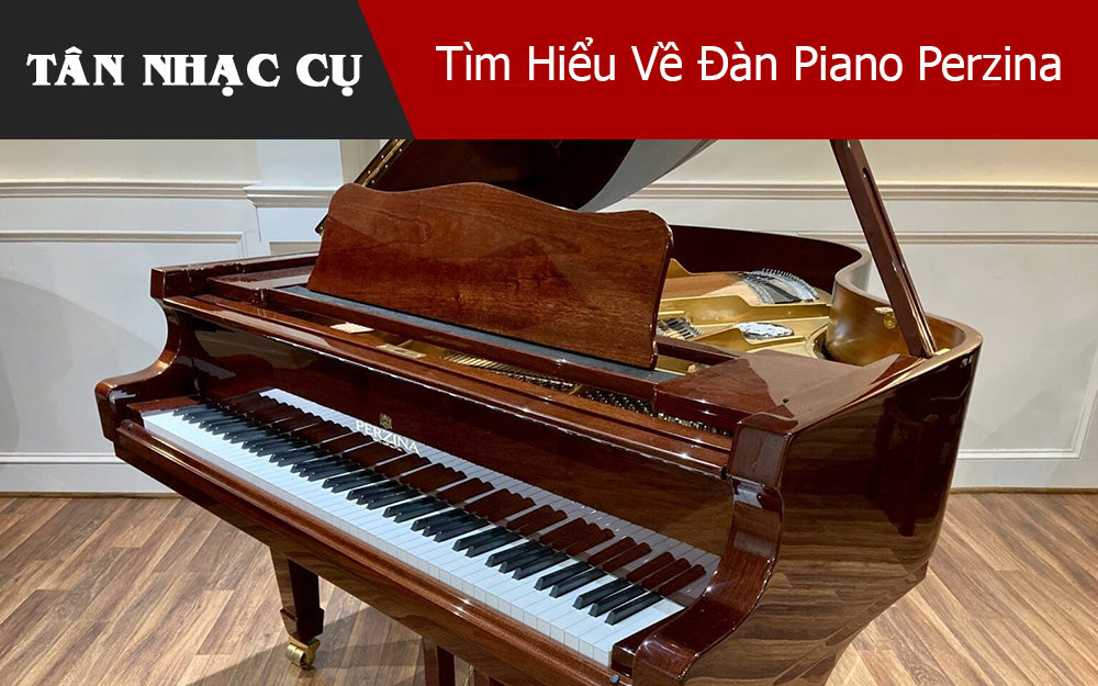 Tìm Hiểu Về Đàn Piano Perzina